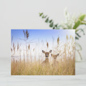 Cutest Baby Animals | Two Young White Tailed Deer サンキューカード (スタンド正面)