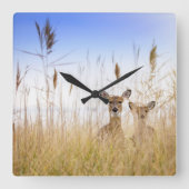 Cutest Baby Animals | Two Young White Tailed Deer スクエア壁時計 (正面)