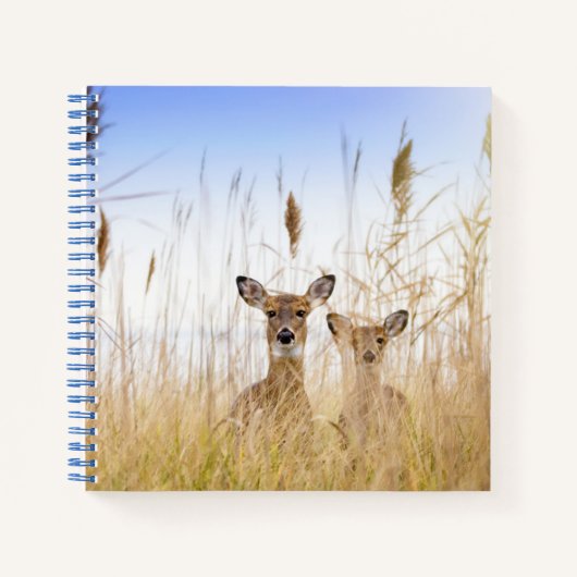 Cutest Baby Animals | Two Young White Tailed Deer ノートブック (正面)