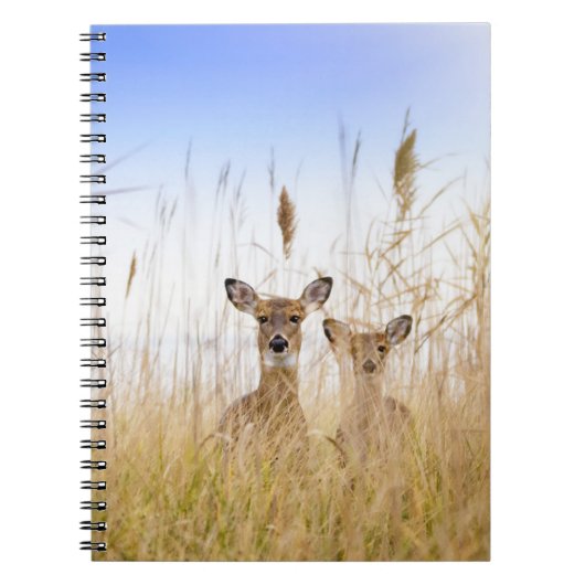 Cutest Baby Animals | Two Young White Tailed Deer ノートブック (正面)