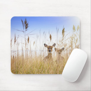 Cutest Baby Animals Two Young White Tailed Deer マウスパッド