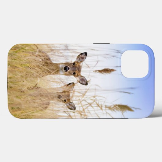 Cutest Baby Animals | Two Young White Tailed Deer Case-Mate iPhoneケース (裏面 (横))