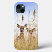 Cutest Baby Animals | Two Young White Tailed Deer Case-Mate iPhoneケース (裏面)