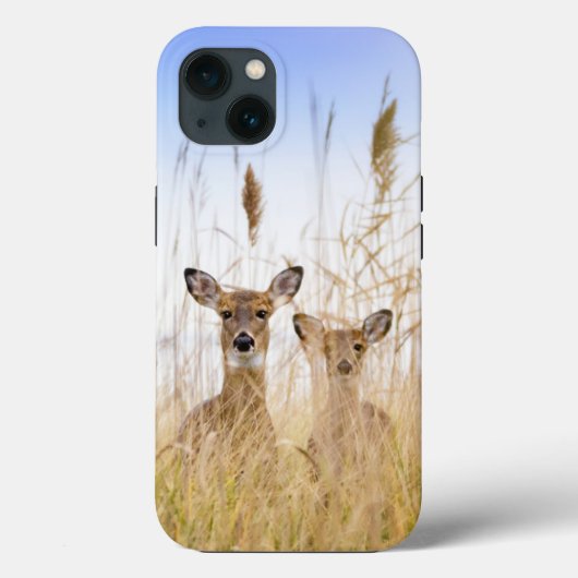 Cutest Baby Animals | Two Young White Tailed Deer Case-Mate iPhoneケース (裏面)