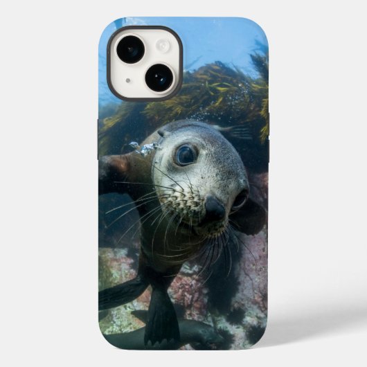 Cutest Baby Animals | Underwater Cape Fur Seal Case-Mate iPhoneケース (裏面)