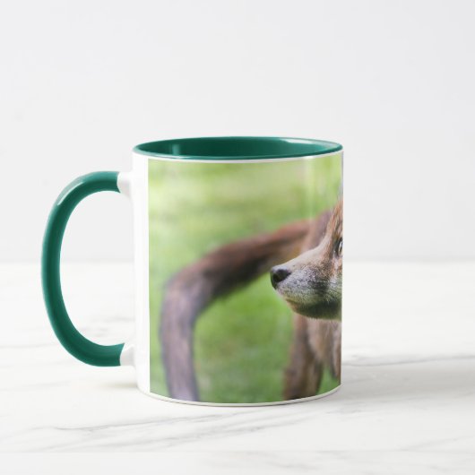Cutest Baby Animals | Urban Fox マグカップ (左)