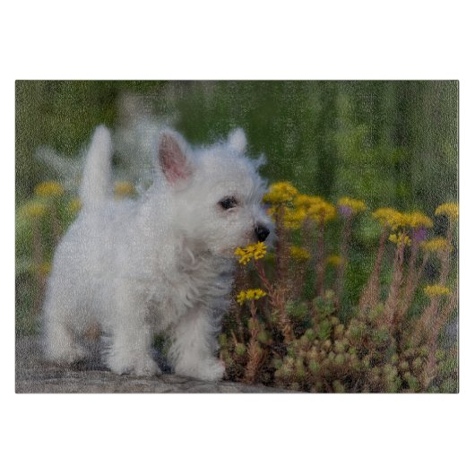 Cutest Baby Animals | West Highland White Terrier カッティングボード (正面)