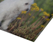 Cutest Baby Animals | West Highland White Terrier カッティングボード (角)