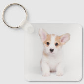 Cutest Baby Animals | White Corgi Puppy キーホルダー (正面)