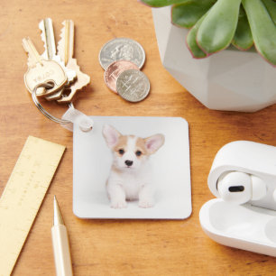 Cutest Baby Animals White Corgi Puppy キーホルダー
