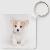 Cutest Baby Animals | White Corgi Puppy キーホルダー (裏面)