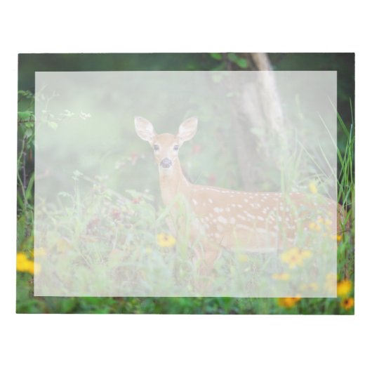 Cutest Baby Animals | White Tailed Deer in Daisies ノートパッド (正面)