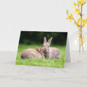 Cutest Baby Animals | Wild Bunny Rabbits カード (黄色い花)