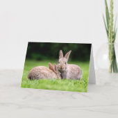 Cutest Baby Animals | Wild Bunny Rabbits カード (正面)
