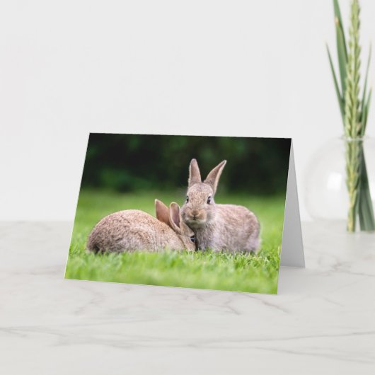 Cutest Baby Animals | Wild Bunny Rabbits カード (正面)