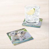 Cutest Baby Animals | Yellow Labrador Retrievers スクエアペーパーコースター (インサイチュ)