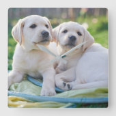 Cutest Baby Animals | Yellow Labrador Retrievers スクエア壁時計 (正面)