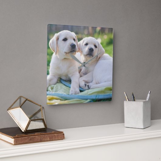 Cutest Baby Animals | Yellow Labrador Retrievers スクエア壁時計 (オフィス)