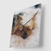 Cutest Baby Animals | Yorkshire Terrier スクエア壁時計 (傾斜)