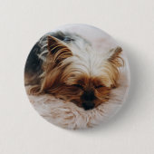 Cutest Baby Animals | Yorkshire Terrier 缶バッジ (正面)