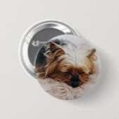 Cutest Baby Animals | Yorkshire Terrier 缶バッジ (正面&裏面)