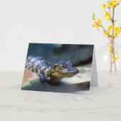Cutest Baby Animals | Young Alligator カード (黄色い花)