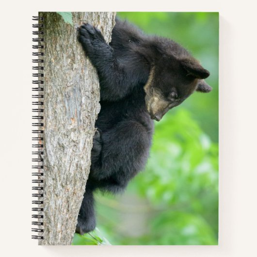 Cutest Baby Animals | Young Black Bear Cub ノートブック (正面)