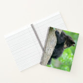 Cutest Baby Animals | Young Black Bear Cub ノートブック (内部)