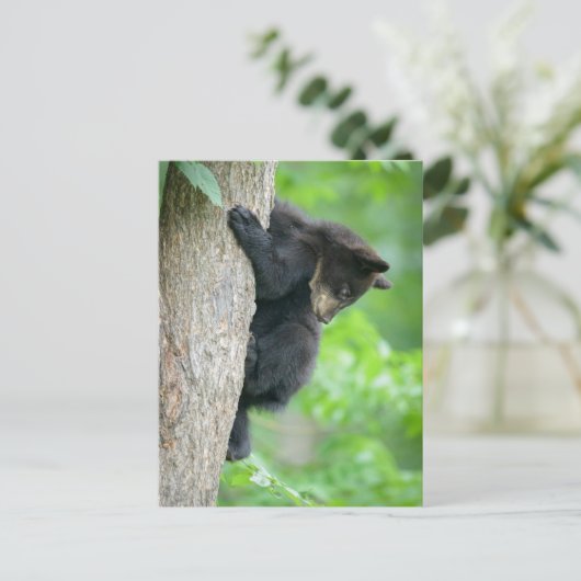 Cutest Baby Animals | Young Black Bear Cub ポストカード (スタンド正面)