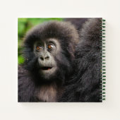 Cutest Baby Animals | Young Mountain Gorilla ノートブック (裏面)