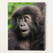 Cutest Baby Animals | Young Mountain Gorilla プランナー手帳 (裏面)