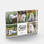 Cutest Paws Ever Modern Cute Pet Dog Photo Collage フォトブロック (左)