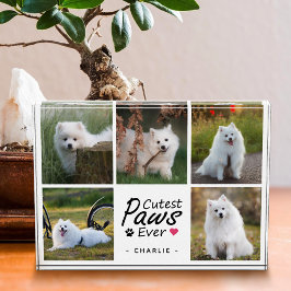 Cutest Paws Ever Modern Cute Pet Dog Photo Collage フォトブロック