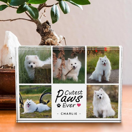 Cutest Paws Ever Modern Cute Pet Dog Photo Collage フォトブロック