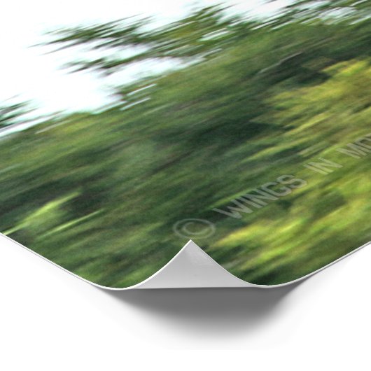 CV-22オスプレイ ポスター (角)