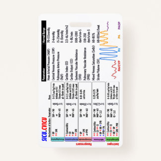 CVICU SICU ICUバッジバディ バッジ