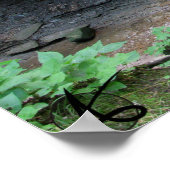 CVNP - Blue Hen 2010 ポスター (角)