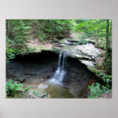 CVNP - Blue Hen 2010 ポスター (正面)