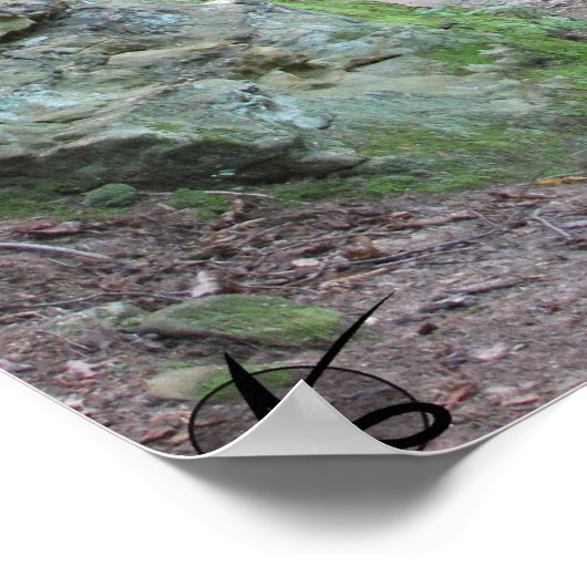 CVNP - Ledges 2010 ポスター (角)