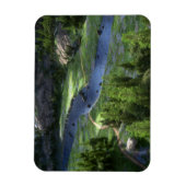 Cwm一体型可撓磁石 マグネット (縦)