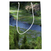 Cwm孤独抱き枕 ミディアムペーパーバッグ (正面)