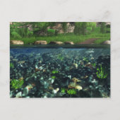 Cwm川はがき ポストカード (正面)