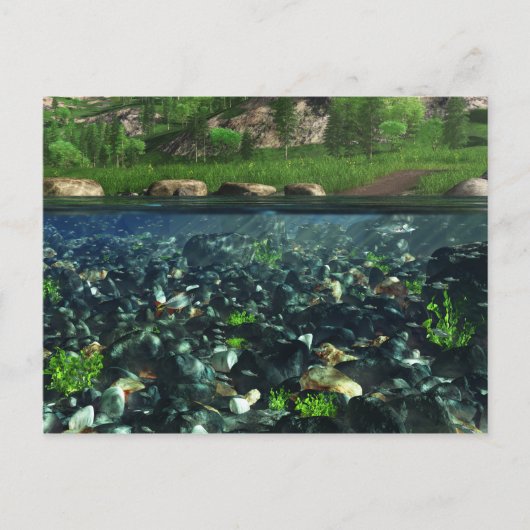 Cwm川はがき ポストカード (正面)