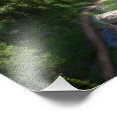 Cwm Solitudeフォトプリント フォトプリント (角)