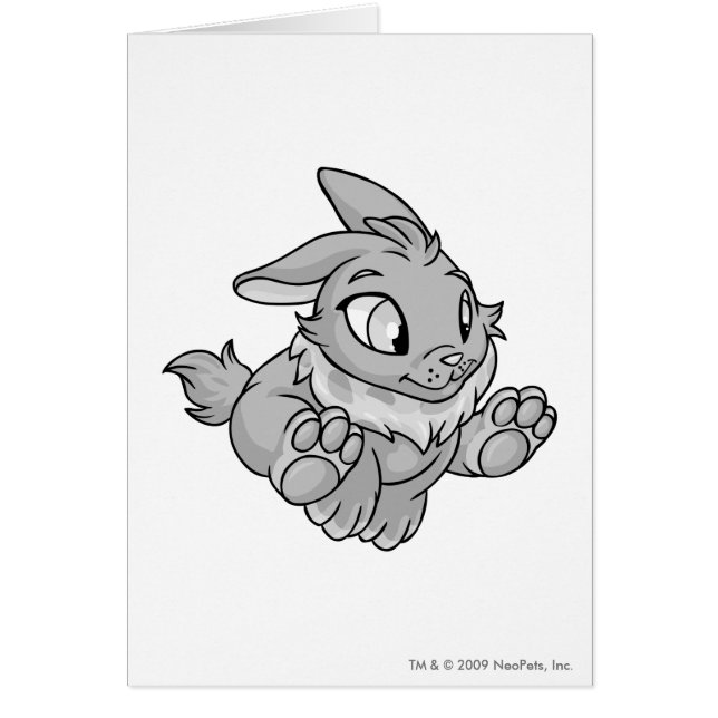 Cybunnyの銀 (正面)
