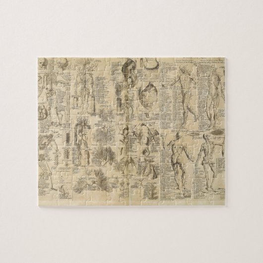 Cyclopaedia 1728年からの解剖図表 ジグソーパズル (横)
