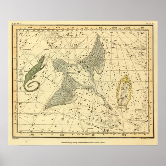 Cygnus、Laceria、およびVia Lactea ポスター (正面)