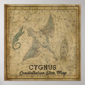 Cygnus Swan Constellation Star Map ポスター (正面)