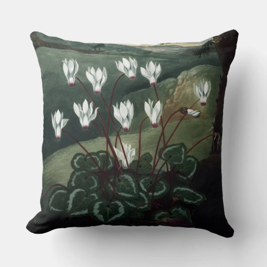 Cyklamenの枕完全な絵画 クッション (正面)