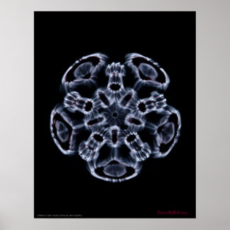 Cymatics: Music Note C ポスター
